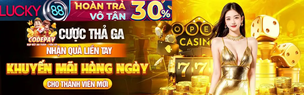 Bước 3 điền thông tin VSBET